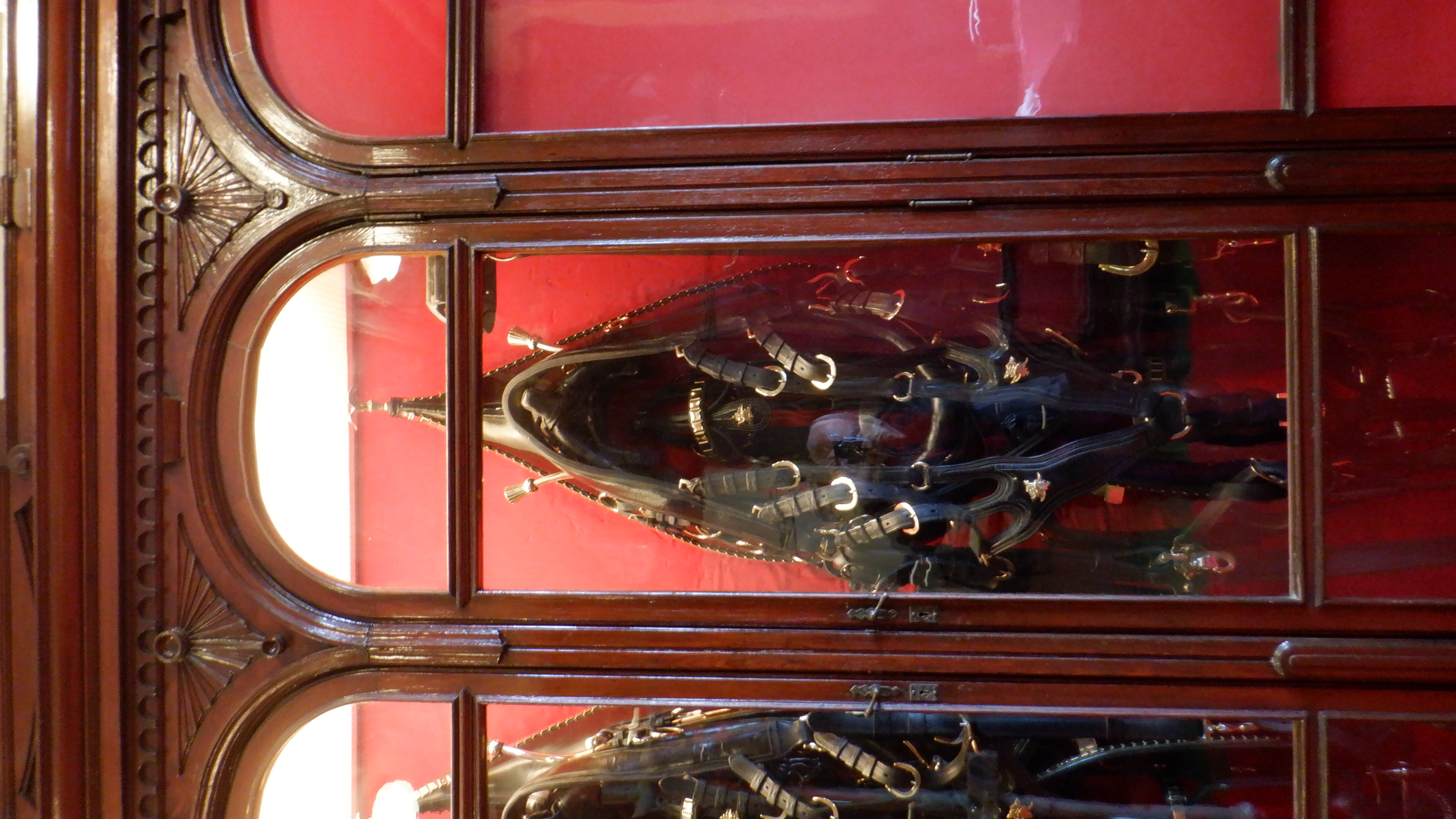 ./2022/06 - St Louis/05 - Day 5/20220525-15034943.JPG